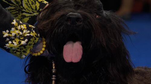 赛事转播权销售